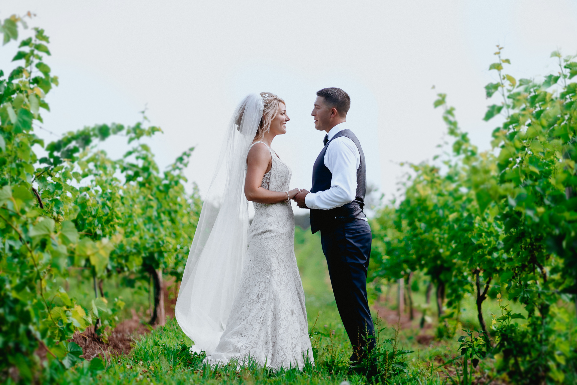 Two Hearts Vineyard Wedding Photos